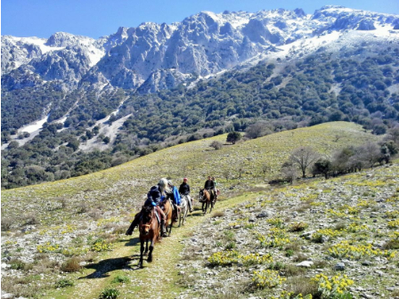 Madonie Trail - Sicily 